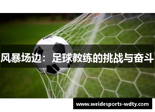 风暴场边：足球教练的挑战与奋斗